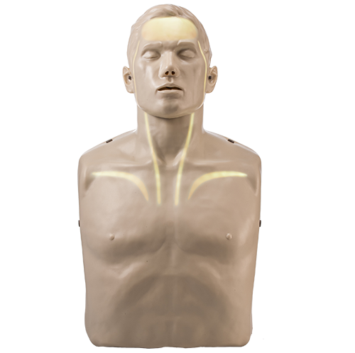 Brayden Adult CPR Manikin with White Illumination Lights 