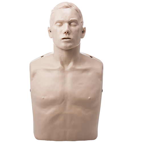Brayden CPR Manikin - The upper torso of a male CPR manikin with no illuminating lights to show effective CPR delivery and blood circulation.